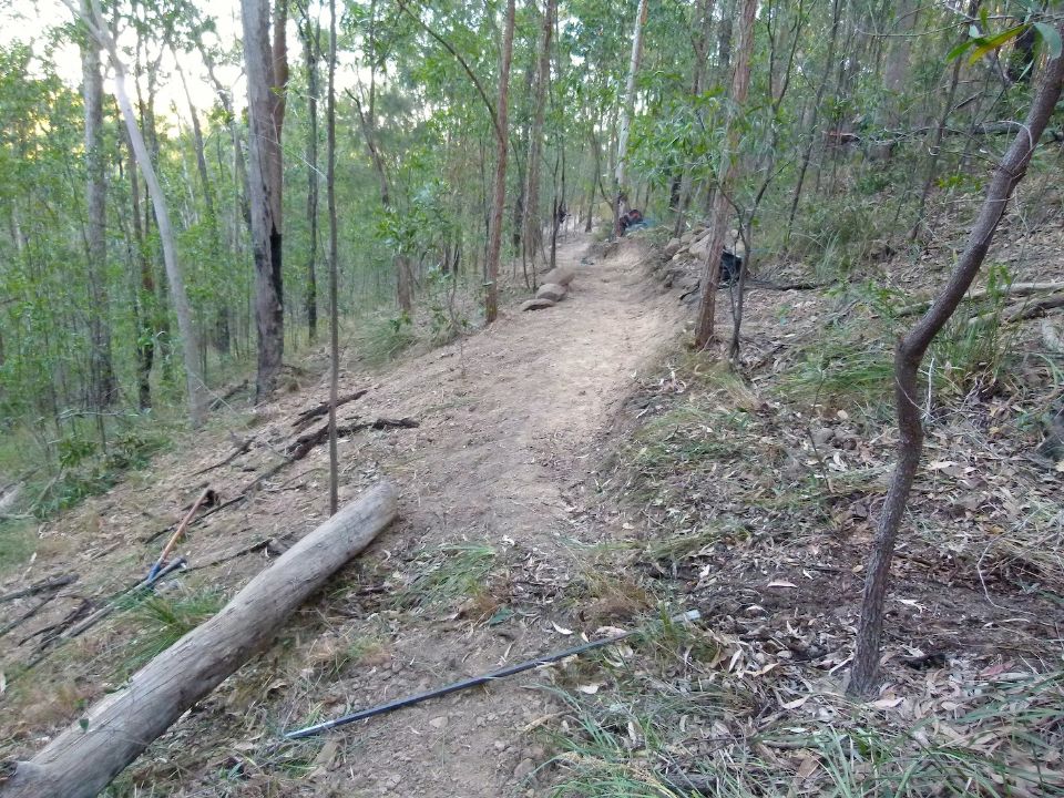 Looking down trail